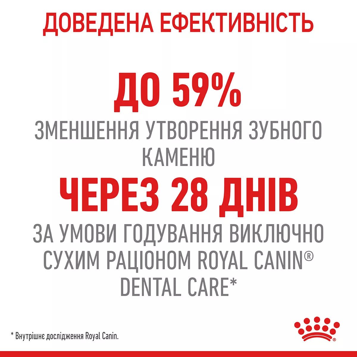 Сухий корм для котів Royal Canin Dental Care, 1.5 кг