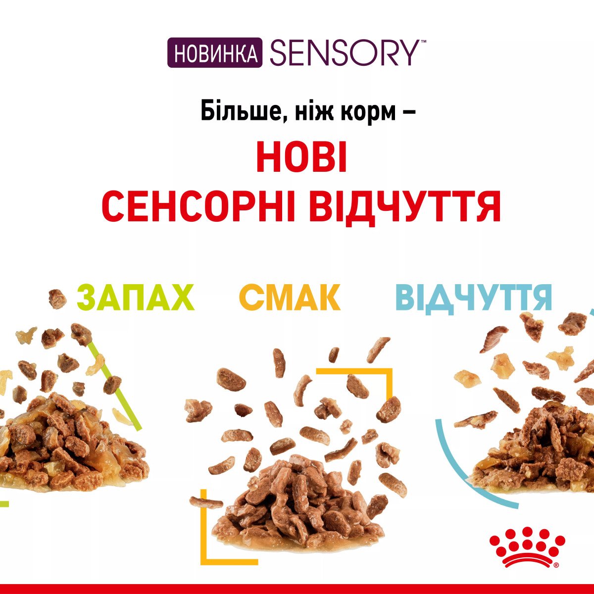 Вологий корм для котів Royal Canin Sensory Taste Chunks In Gravy, 85 г