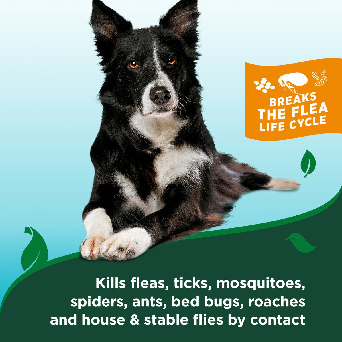 VET`S BEST Flea&Tick Waterless Dog Bath Cottonspice 236 мл