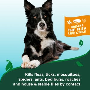 VET`S BEST Flea&Tick Waterless Dog Bath Cottonspice 236 мл