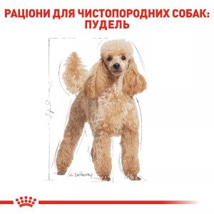 Сухий корм для собак Royal Canin Poodle Adult, 1.5 кг
