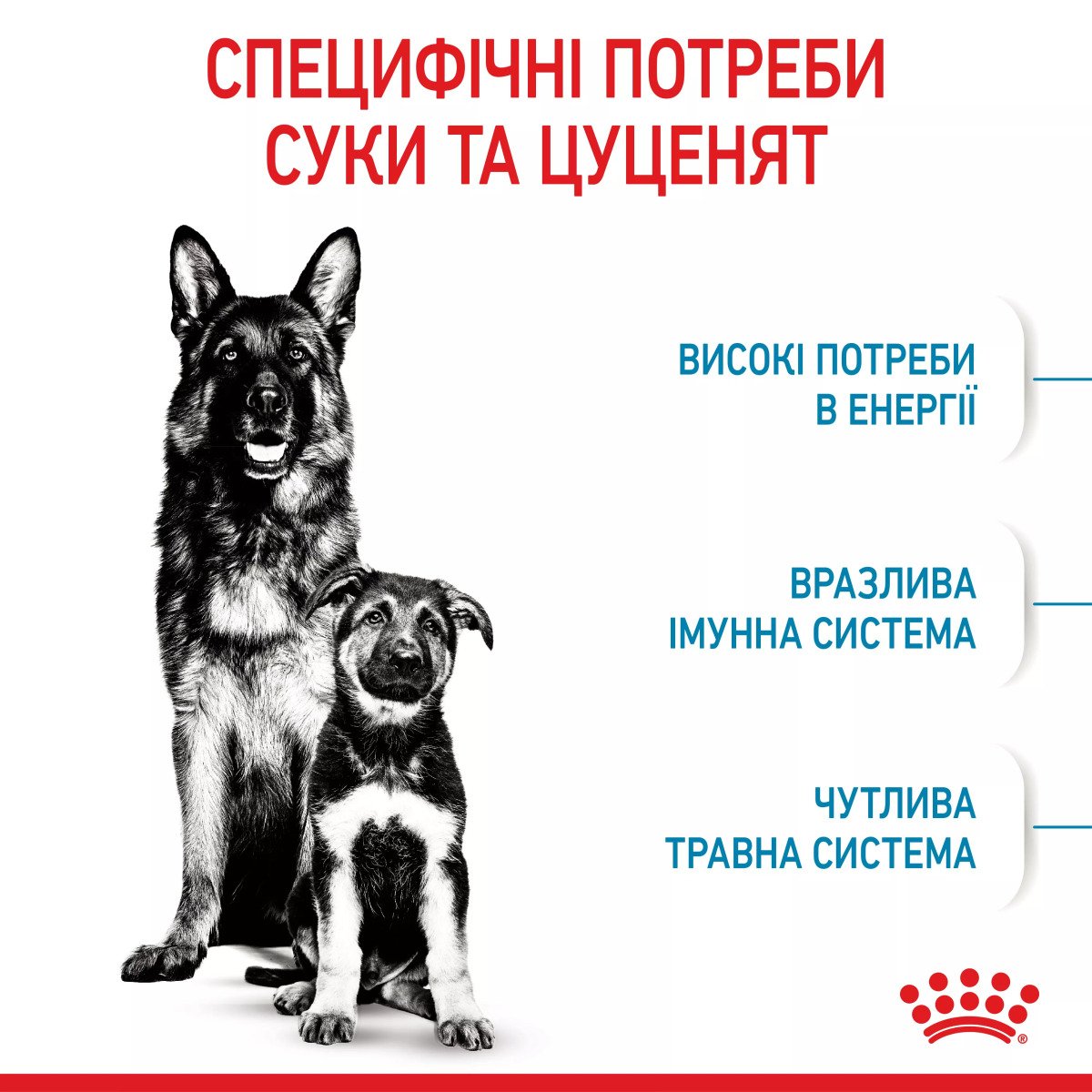 Сухий корм для цуценят великих порід Royal Canin Maxi Starter, 4 кг
