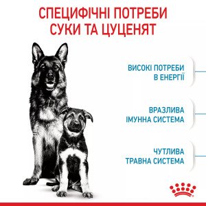 Сухий корм для цуценят великих порід Royal Canin Maxi Starter, 4 кг