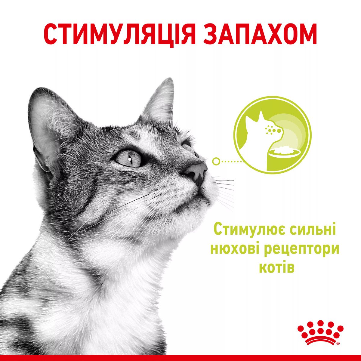 Вологий корм для котів Royal Canin Sensory Smell Chunks In Gravy, 85 г