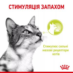 Вологий корм для котів Royal Canin Sensory Smell Chunks In Gravy, 85 г