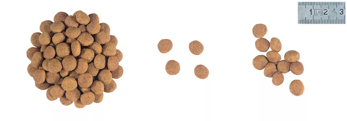 Сухий корм для котів Royal Canin Mobility Feline, 2 кг