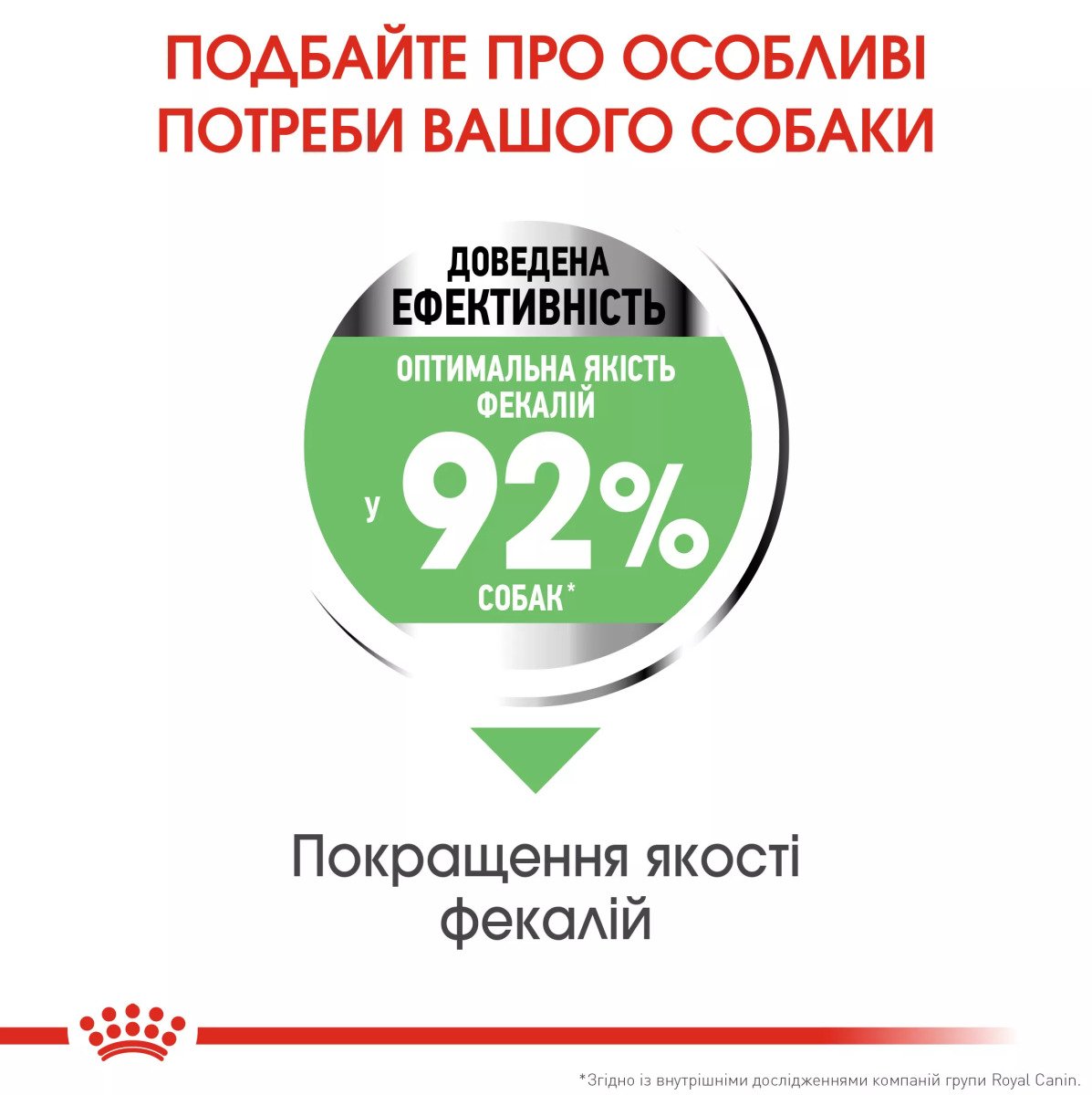 Сухий корм для собак малих порід Royal Canin Mini Digestive Care, 3 кг