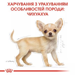 Сухий корм для цуценят мініатюрних порід Royal Canin Chihuahua Puppy, 500 г