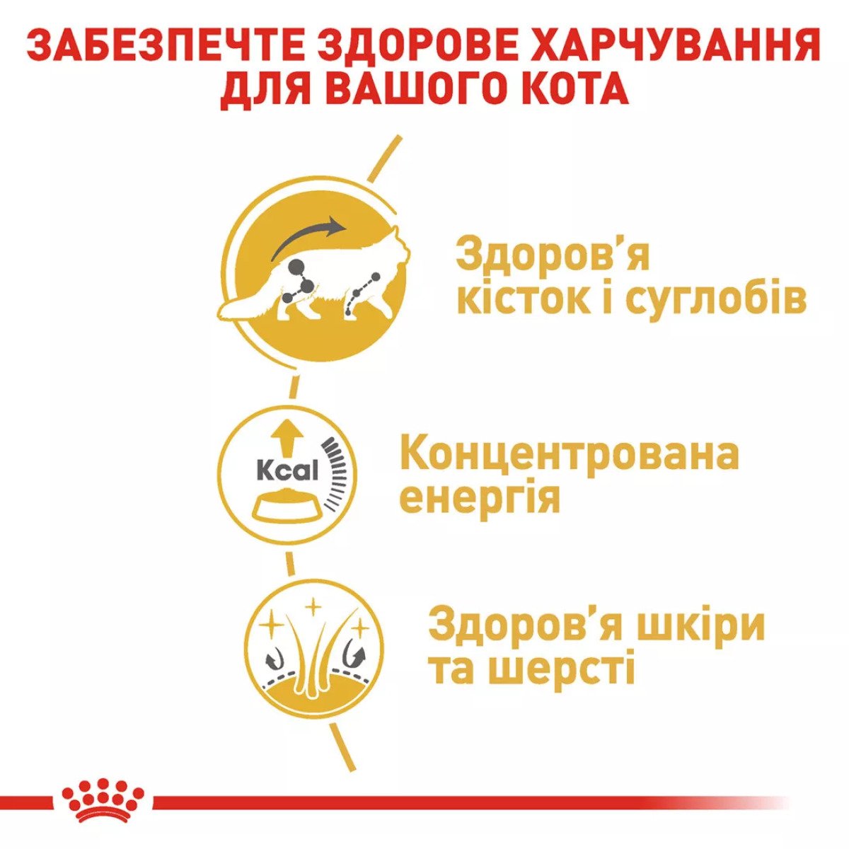 Вологий корм для котів Royal Canin Maine Coon Adult, 85 г