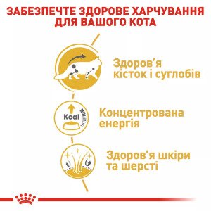Вологий корм для котів Royal Canin Maine Coon Adult, 85 г
