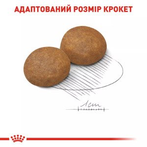 Сухий корм для собак великих порід Royal Canin Maxi Adult 5+, 15 кг