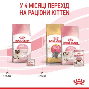 Сухий корм для кошенят Royal Canin Mother & Babycat, 10 кг