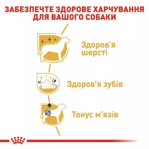 Сухий корм для собак Royal Canin Poodle Adult, 1.5 кг