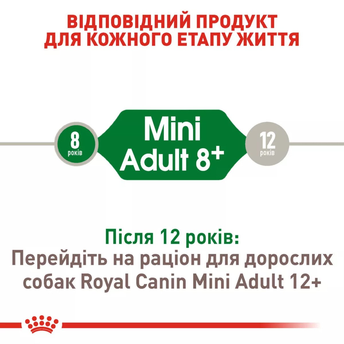 Сухий корм для собак малих порід Royal Canin Mini Adult 8+, 800 г