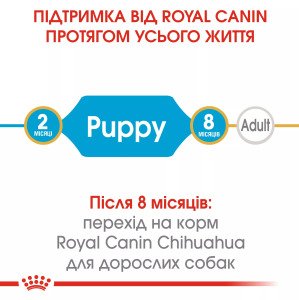Сухий корм для цуценят мініатюрних порід Royal Canin Chihuahua Puppy, 500 г