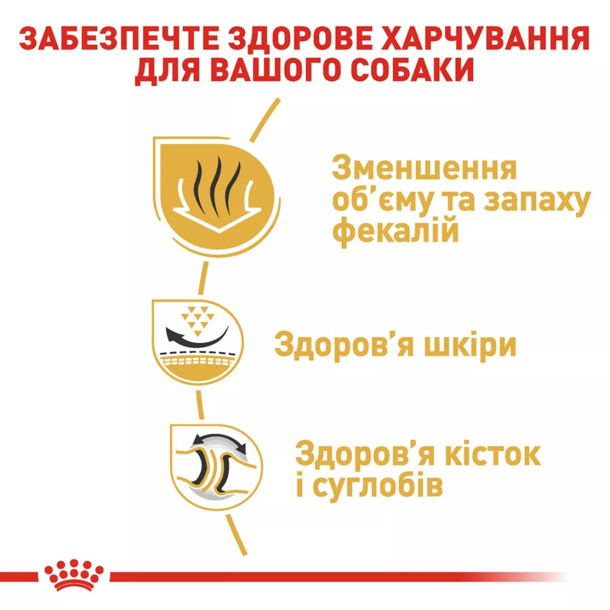 Сухий корм для собак середніх порід Royal Canin Bulldog Adult, 3 кг