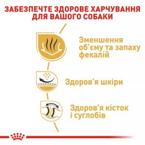 Сухий корм для собак середніх порід Royal Canin Bulldog Adult, 3 кг