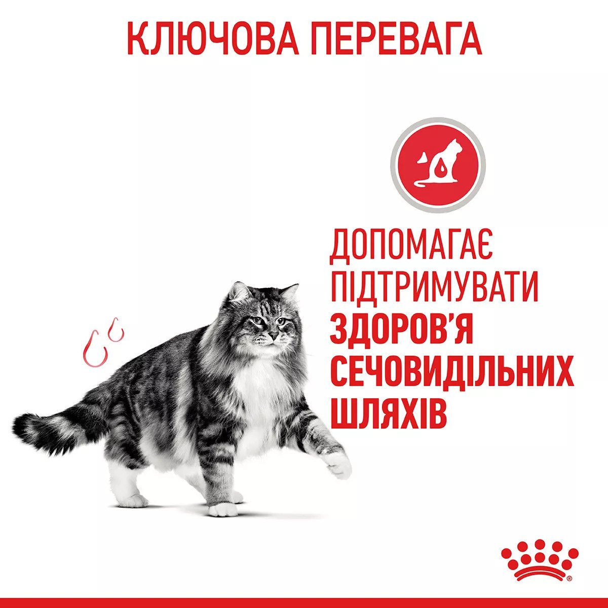 Сухий корм для котів Royal Canin Urinary Care, 2 кг