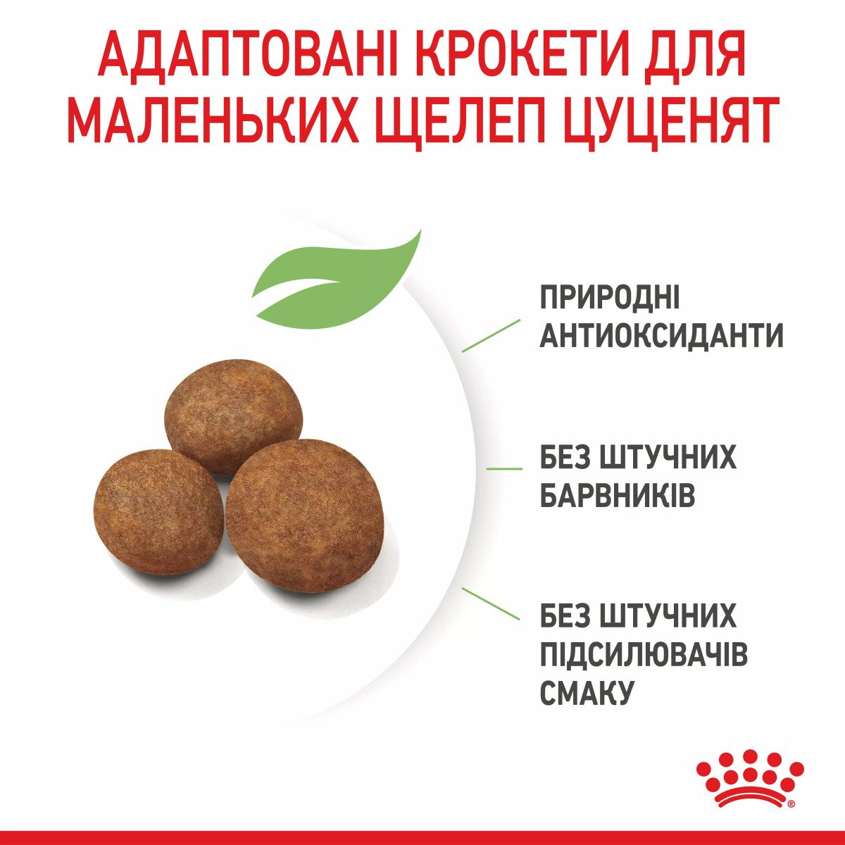 Сухий корм для цуценят великих порід Royal Canin Giant Puppy, 1 кг