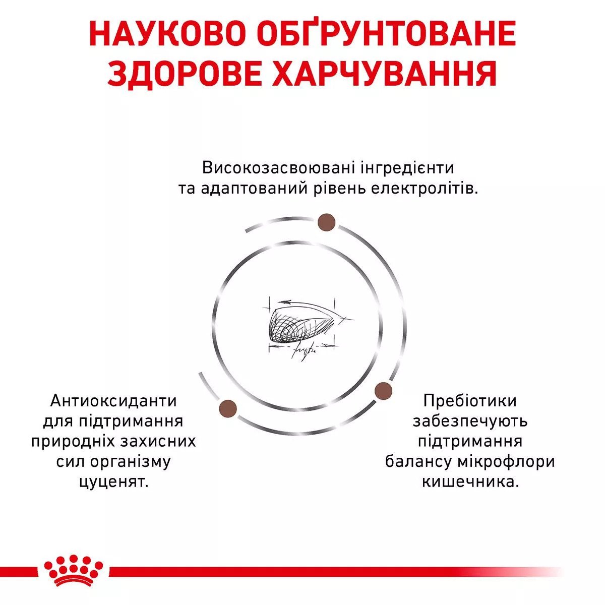 Сухий корм для цуценят Royal Canin Gastro Intestinal Puppy, 2.5 кг