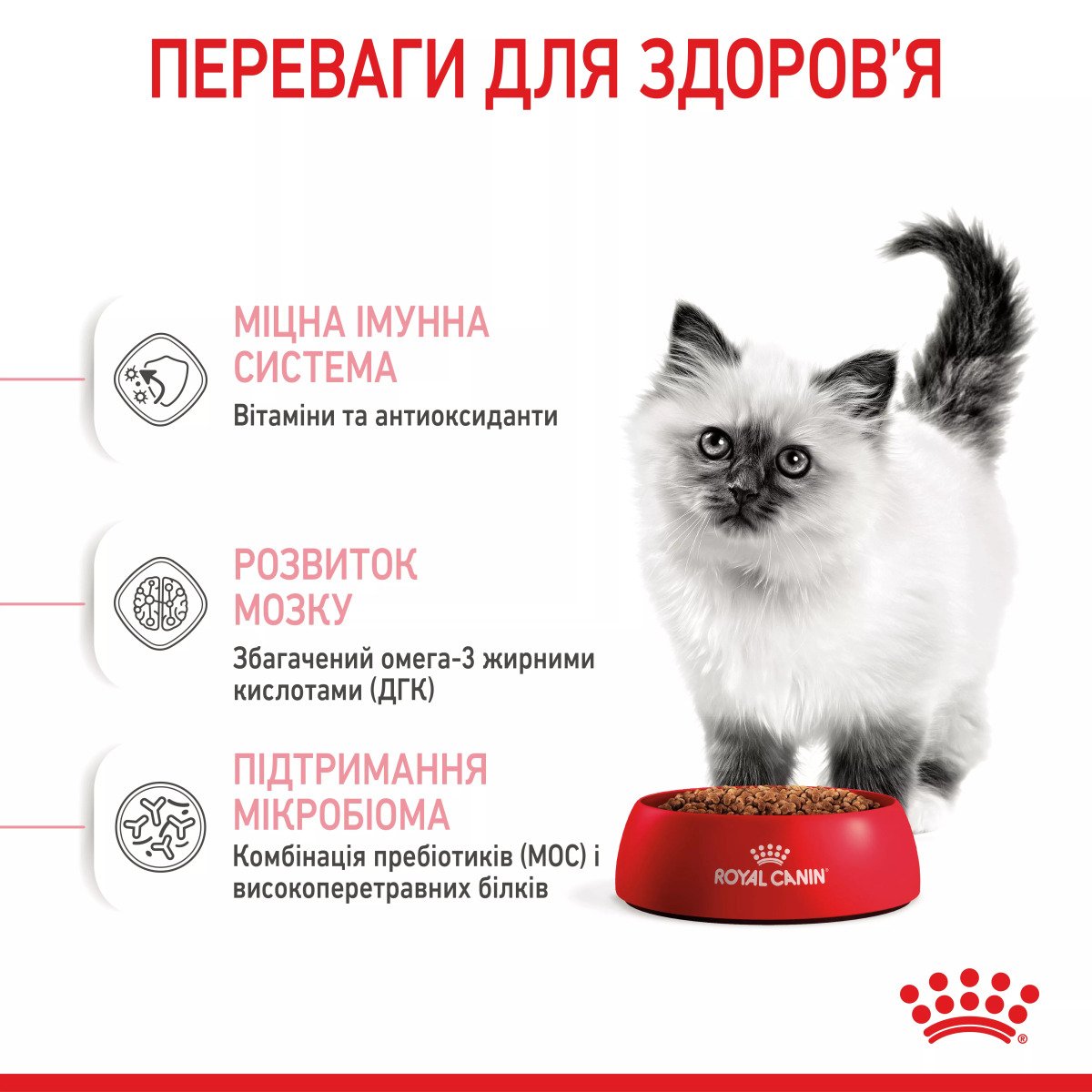 Сухий корм для кошенят Royal Canin Kitten, 10 кг