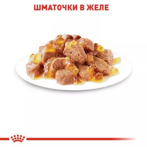 Вологий корм для котів Royal Canin Instinctive In Jelly, 85 г