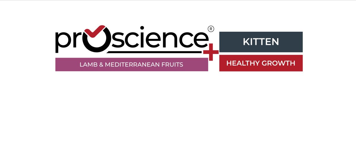 ProScience Kitten Lamb 15 kg