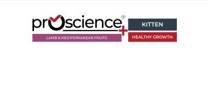 ProScience Kitten Lamb 15 kg