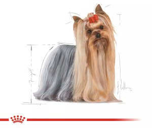 Вологий корм для йоркширських тер'єрів Royal Canin Yorkshire Adult, 85 г