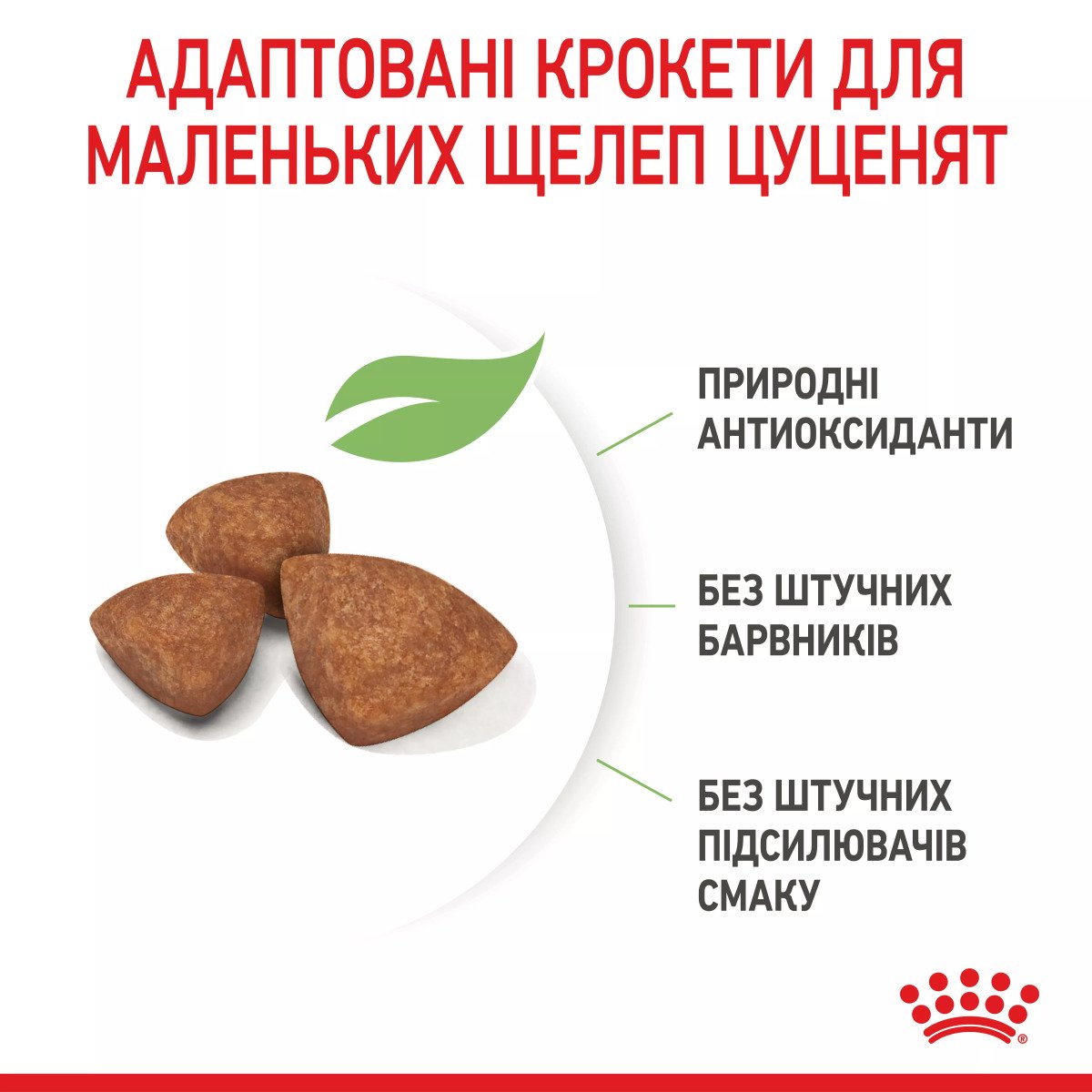 Сухий корм для цуценят мініатюрних порід Royal Canin Xsmall Puppy, акційна упаковка 1.5 кг (1.2 кг + 300 г у подарунок)