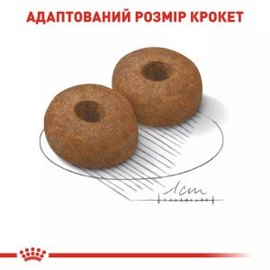 Сухий корм для собак великих порід Royal Canin Maxi Ageing 8+, 15 кг