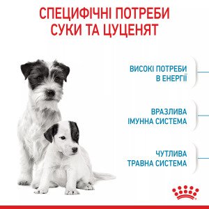 Сухий корм для цуценят мініатюрних порід Royal Canin Mini Starter, 1 кг