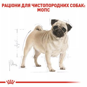 Сухий корм для собак малих порід Royal Canin Pug Adult, 1.5 кг