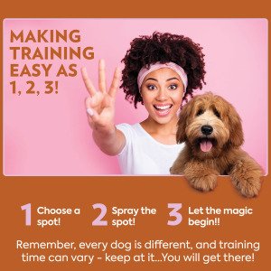 Спрей-атрактант для привчання собак до туалету OUT! PetCare Go Here Training Spray, 945 мл