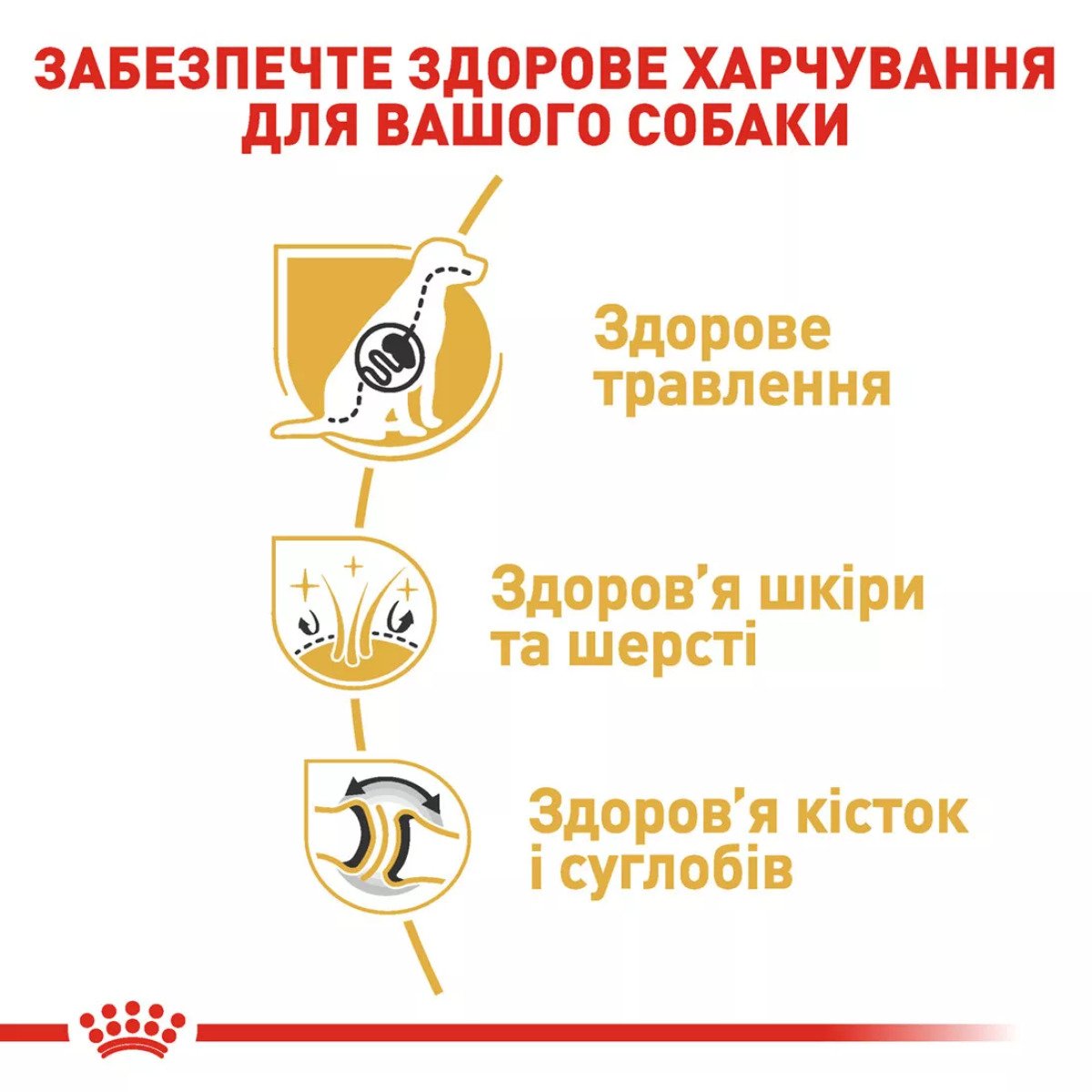 Сухий корм для собак великих порід Royal Canin German Shepherd Adult, 11 кг