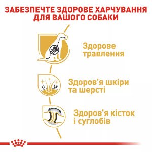 Сухий корм для собак великих порід Royal Canin German Shepherd Adult, 11 кг