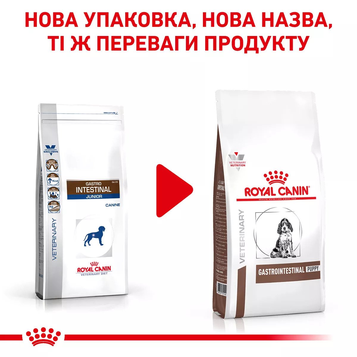 Сухий корм для цуценят Royal Canin Gastro Intestinal Puppy, 2.5 кг