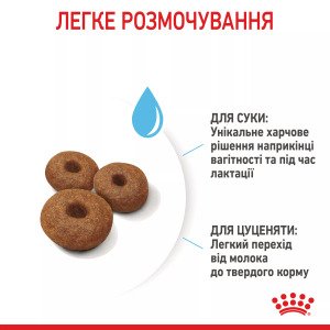 Сухий корм для цуценят великих порід Royal Canin Maxi Starter, 4 кг