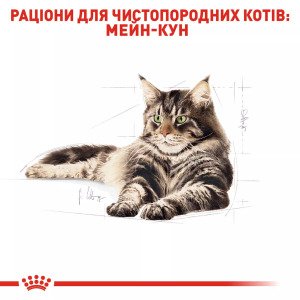 Сухий корм для котів Royal Canin Maine Coon Adult, 2 кг