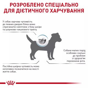 Сухий корм для собак малих порід Royal Canin Anallergenic Small Dog, 3 кг