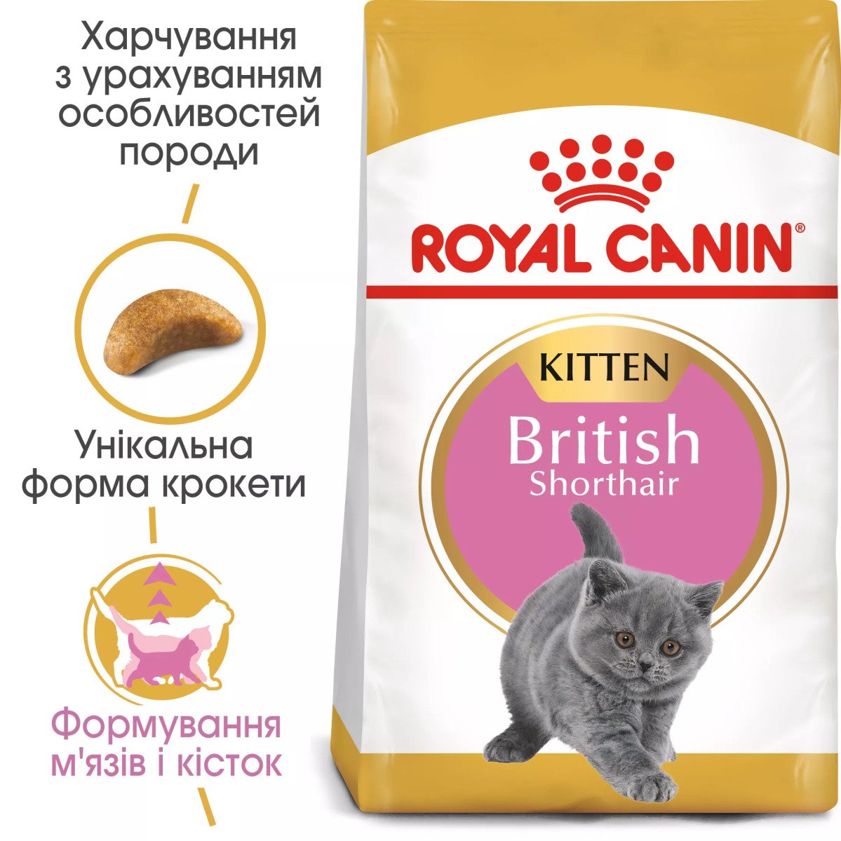 Сухий корм для кошенят Royal Canin British Shorthair Kitten, 10 кг
