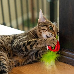 Іграшка д/котів Кетстейджес Полуничка д/жування з ароматом полуниці арт pt72095