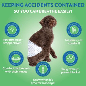 Одноразові гігієнічні підгузки-пояси для собак (кобелів) OUT! PetCare Comfort-Dri Male Wraps XS/S, 12 шт.