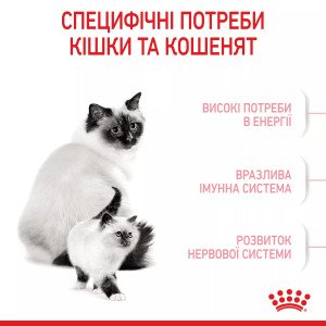 Сухий корм для кошенят Royal Canin Mother & Babycat, 2 кг