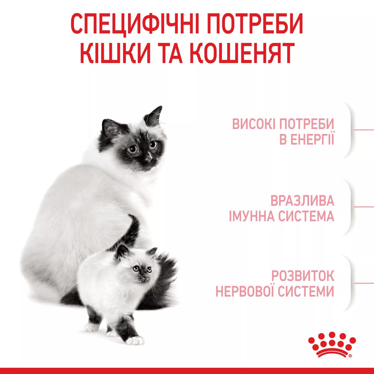 Сухий корм для кошенят Royal Canin Mother & Babycat, 400 г