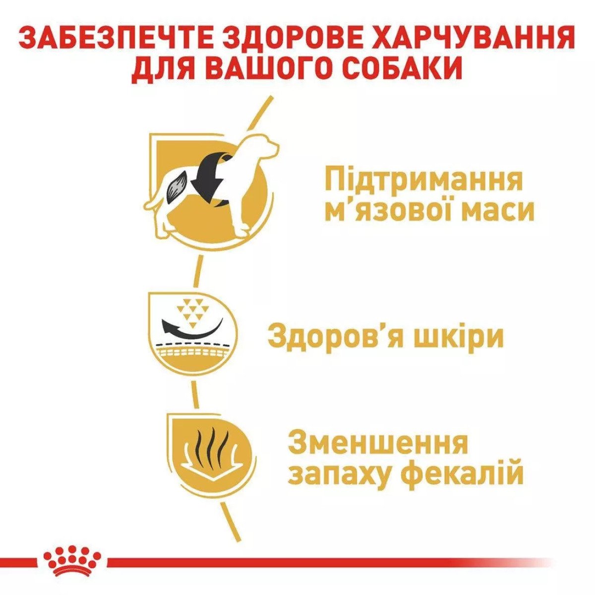 Сухий корм для собак малих порід Royal Canin French Bulldog Adult, 1.5 кг