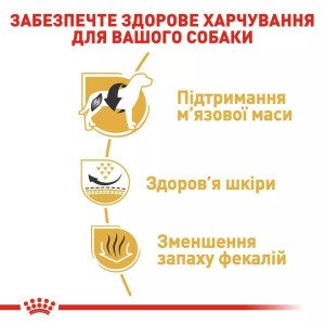 Сухий корм для собак малих порід Royal Canin French Bulldog Adult, 3 кг