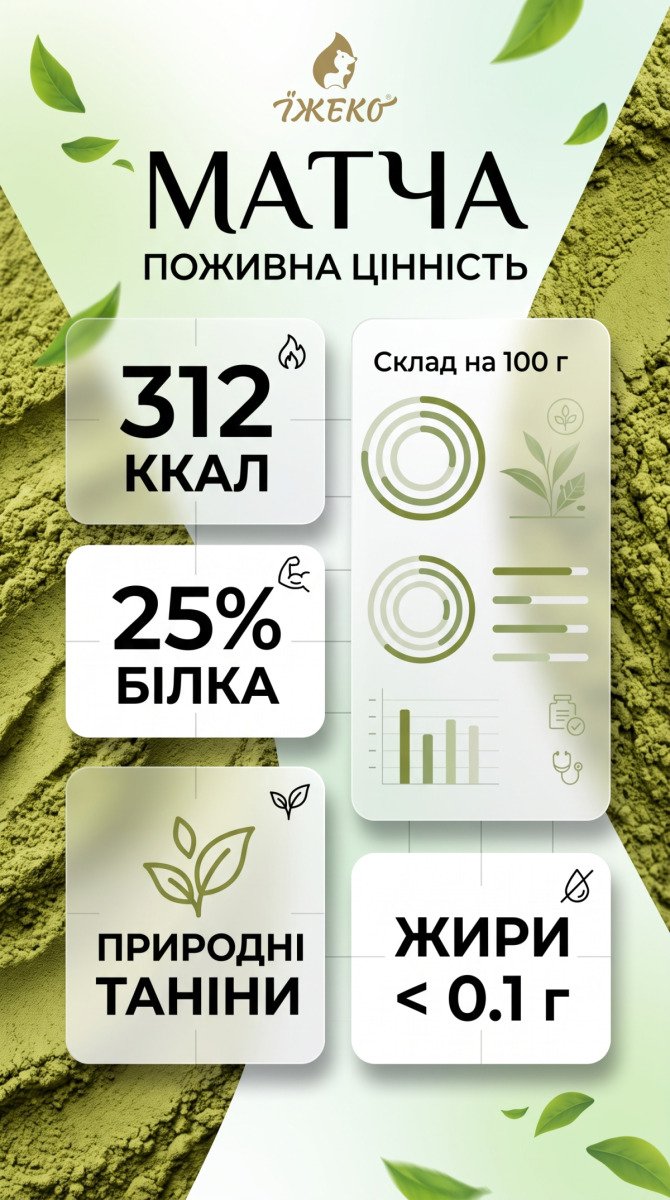 Інфографіка поживної цінності кулінарної матчі G1 на 100 г: білки, калорійність, катехіни танінів