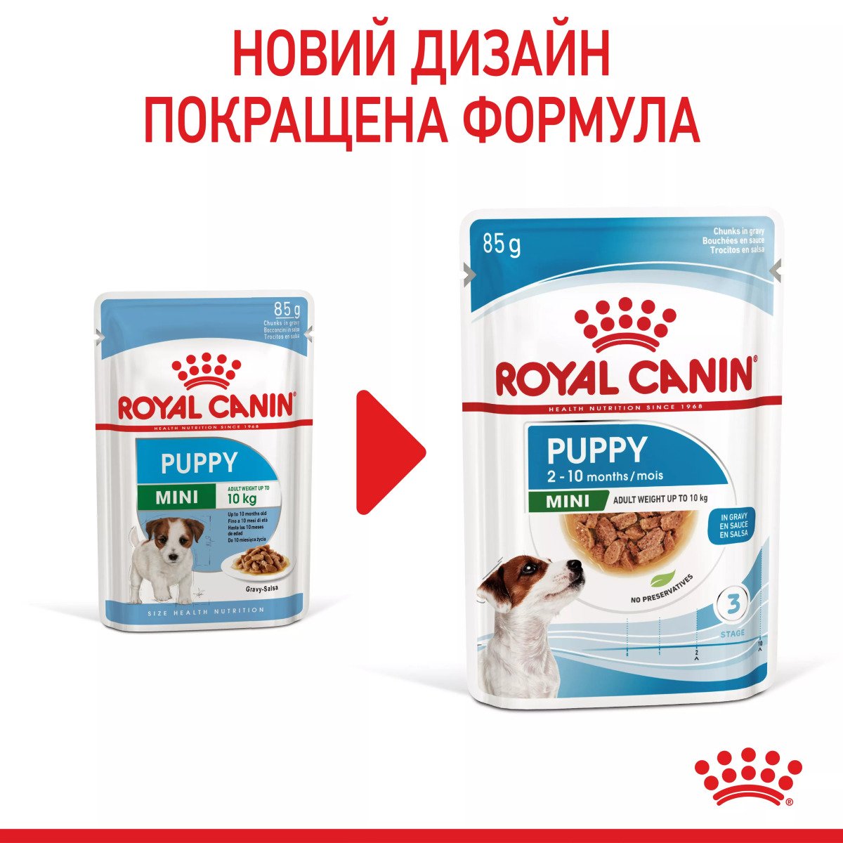 Вологий корм для цуценят мініатюрних порід Royal Canin Mini Puppy, 85 г