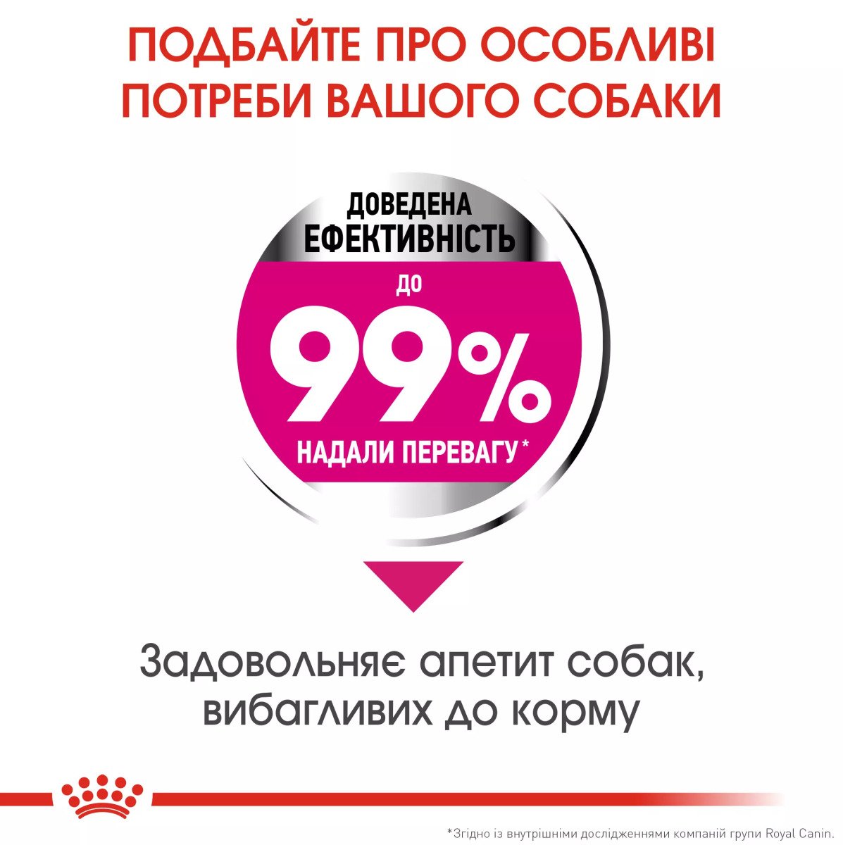 Сухий корм для собак малих порід Royal Canin Mini Exigent, 3 кг
